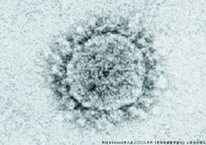 冠狀病毒的電子顯微鏡照片