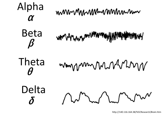 腦波基本上可以分為四種，不同的腦波出現於不同的情境。（圖／http://140.116.164.38/%5CResearch/Brain.htm）