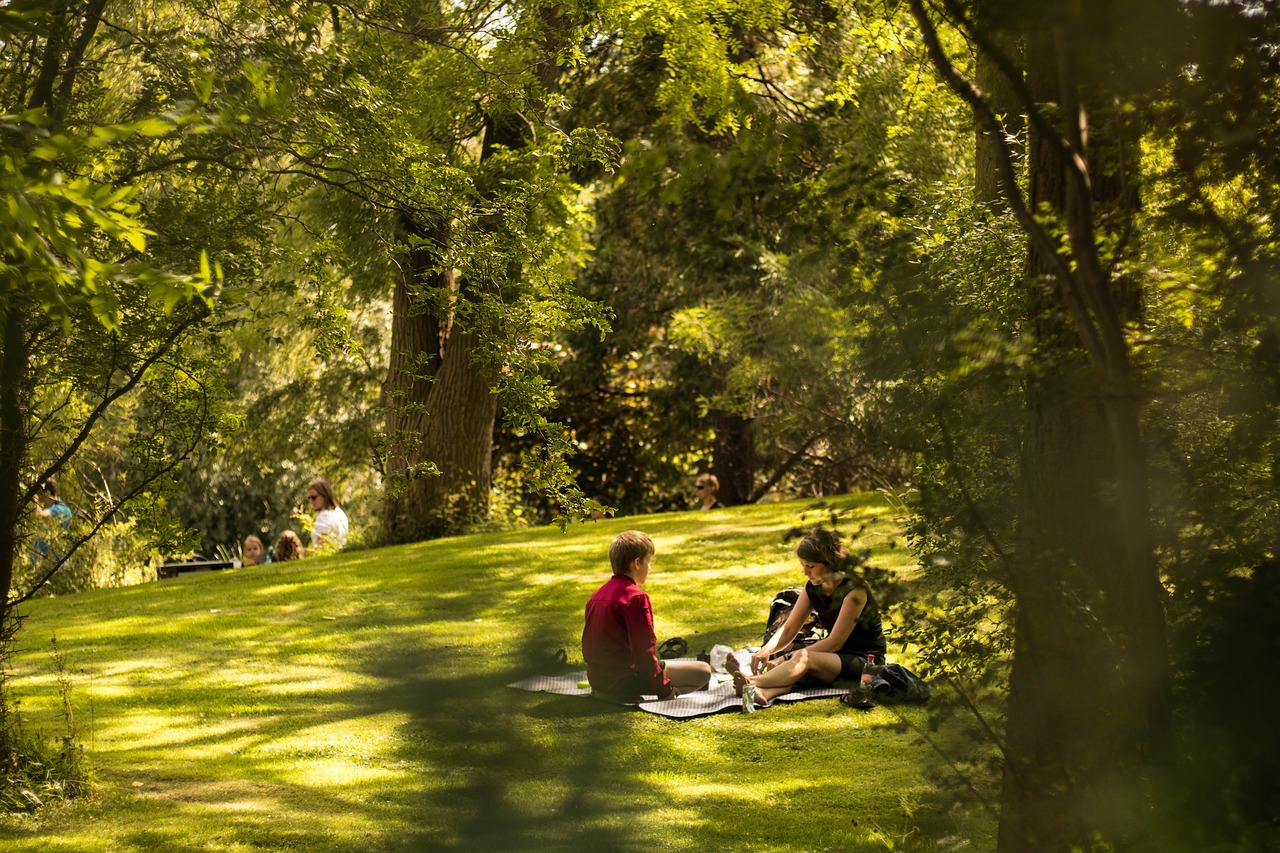 都市林的功能在提供舒適的生活環境與身心的休憩。（圖／Pixabay）
