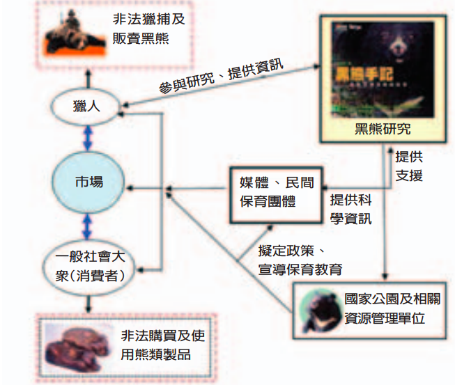 落實臺灣黑熊保育的層級關係圖，顯示出科學研究及動員全民和各階層推展保育工作的重要性。
