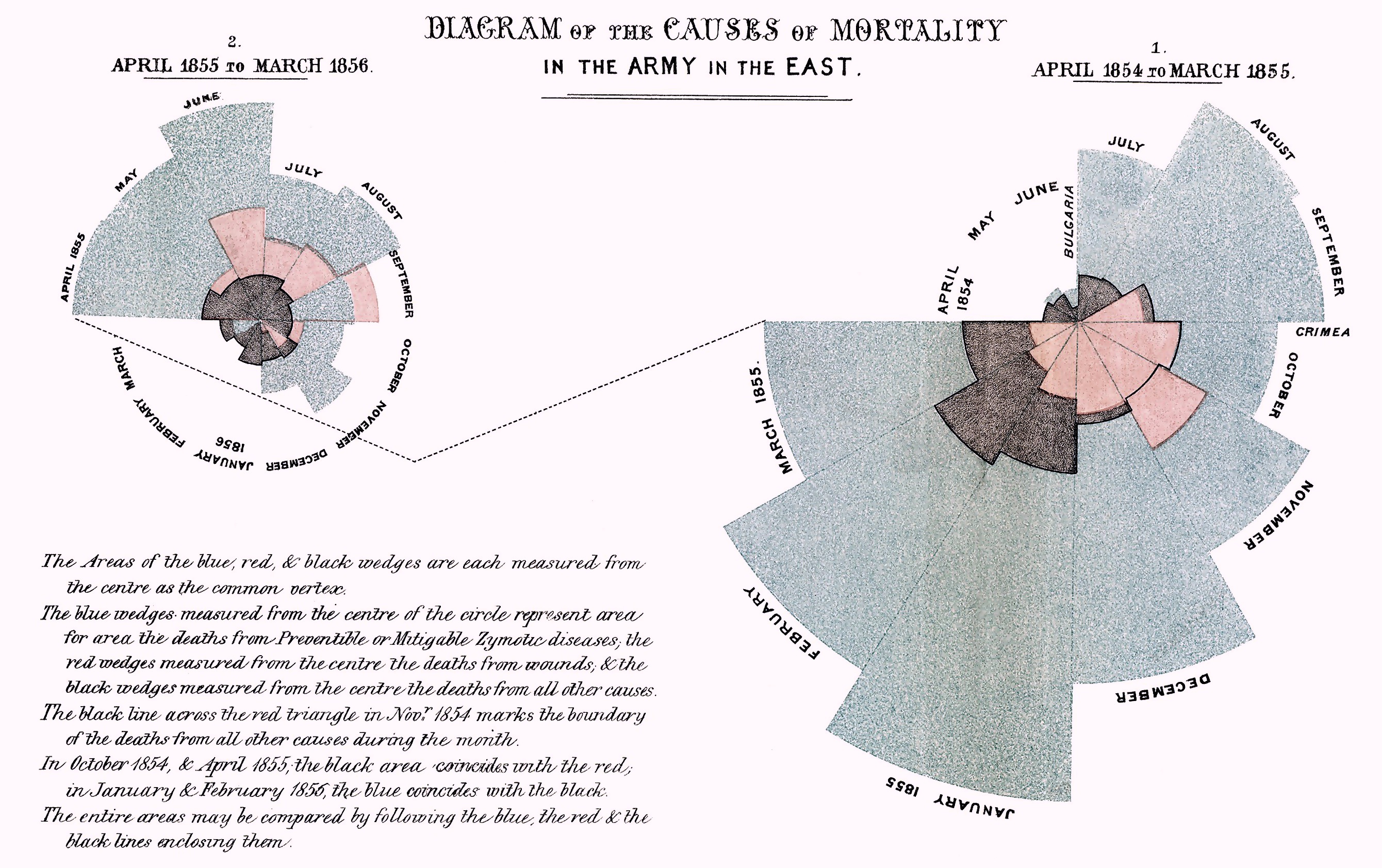 南丁格爾設計的圓餅圖又叫南丁格爾玫瑰圖，她利用這個圖表來比較兩個年度的死亡人數與其原因的概略比例