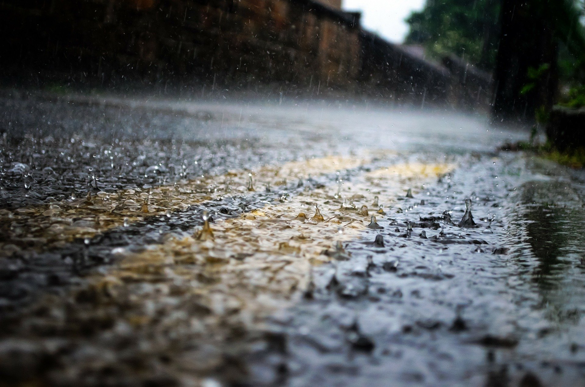 降雨量、降雨日數及溫度，都與小黑蚊的消長有關係。（圖／Pixabay）