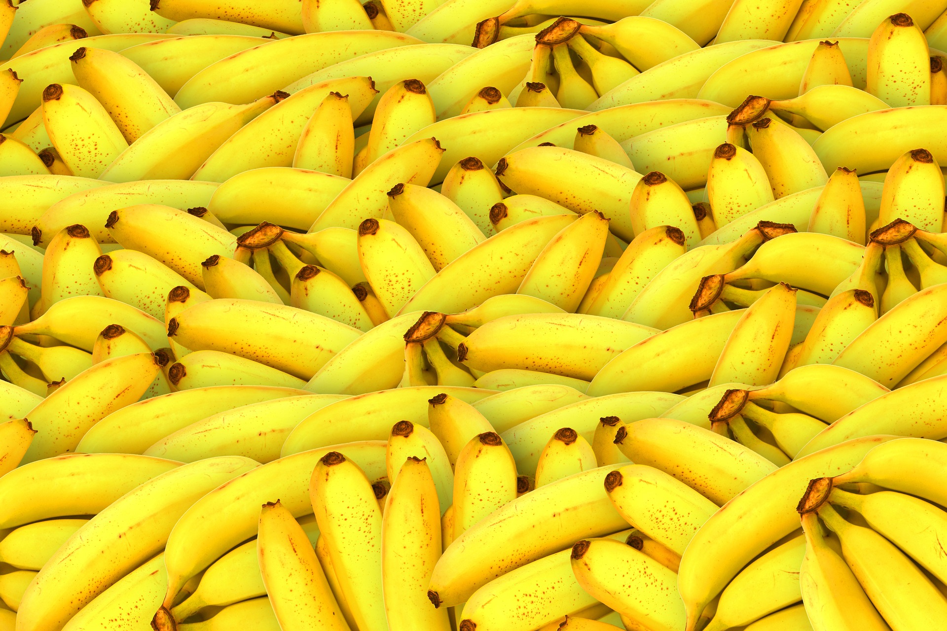 香蕉也會成為高樹鄉熱帶植物保種中心的經典收藏之一。（圖／Pixabay）