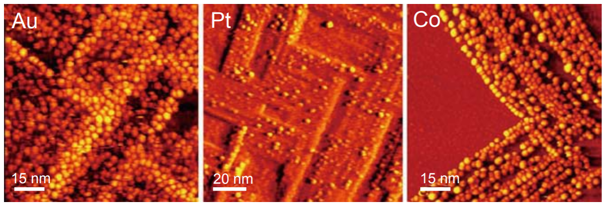 更接近真實觸媒的模型系統，氧化鋁薄膜上的金（Au）、鉑（Pt）和鈷（Co）奈米粒子的掃描探針顯微鏡影像。氧化鋁薄膜約0.5奈米厚，成長於鎳鋁合金（NiAl （100））單晶面上，這種厚度的氧化鋁薄膜可避免使用電子相關探測技術所造成的充電效應。