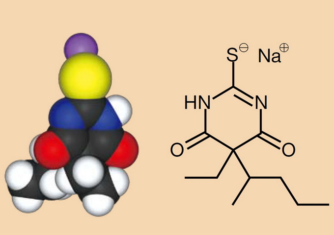 戊硫酮化鈉的分子結構（資料來源：http://en.wikipedia.org/wiki/Thiopentone_sodium）