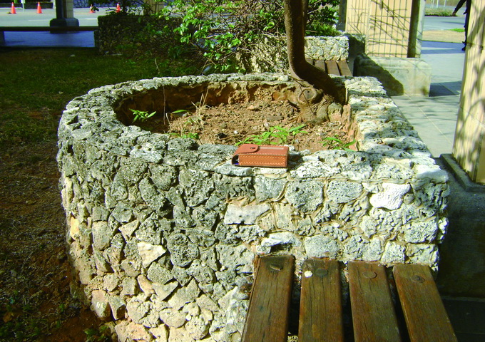 咕咾石其實頗具實用價值，這是墾丁貓鼻頭遊客中心利用咕咾石砌成的花壇。（圖／陳春如）