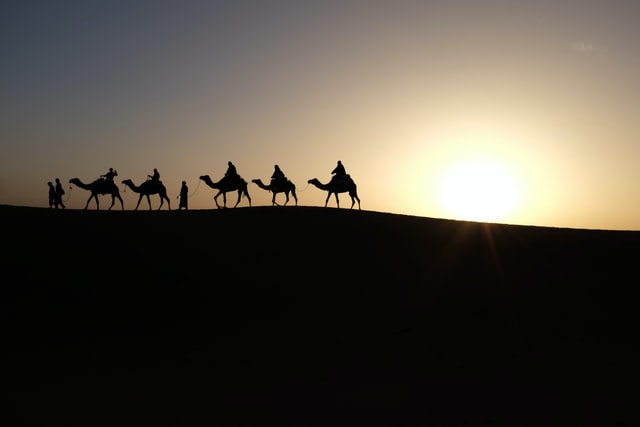 橫越沙漠的駱駝旅隊需要知道當下的位置和時間以估計前進的速度，才能正確地選擇下一個驛站。（圖／Inbal Malca，Unsplash）