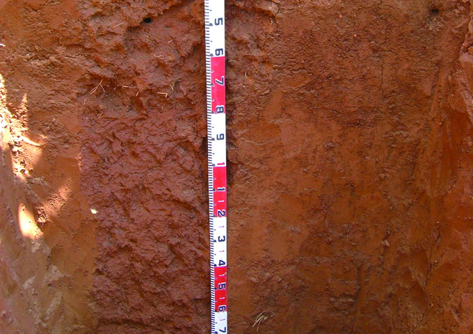 鐵在一般岩石、礦物和土壤中的含量，是僅次於鋁的巨量重金屬元素，往往可把岩石風化層染成紅色。