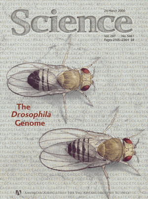 2000年3月《科學》雜誌封面。