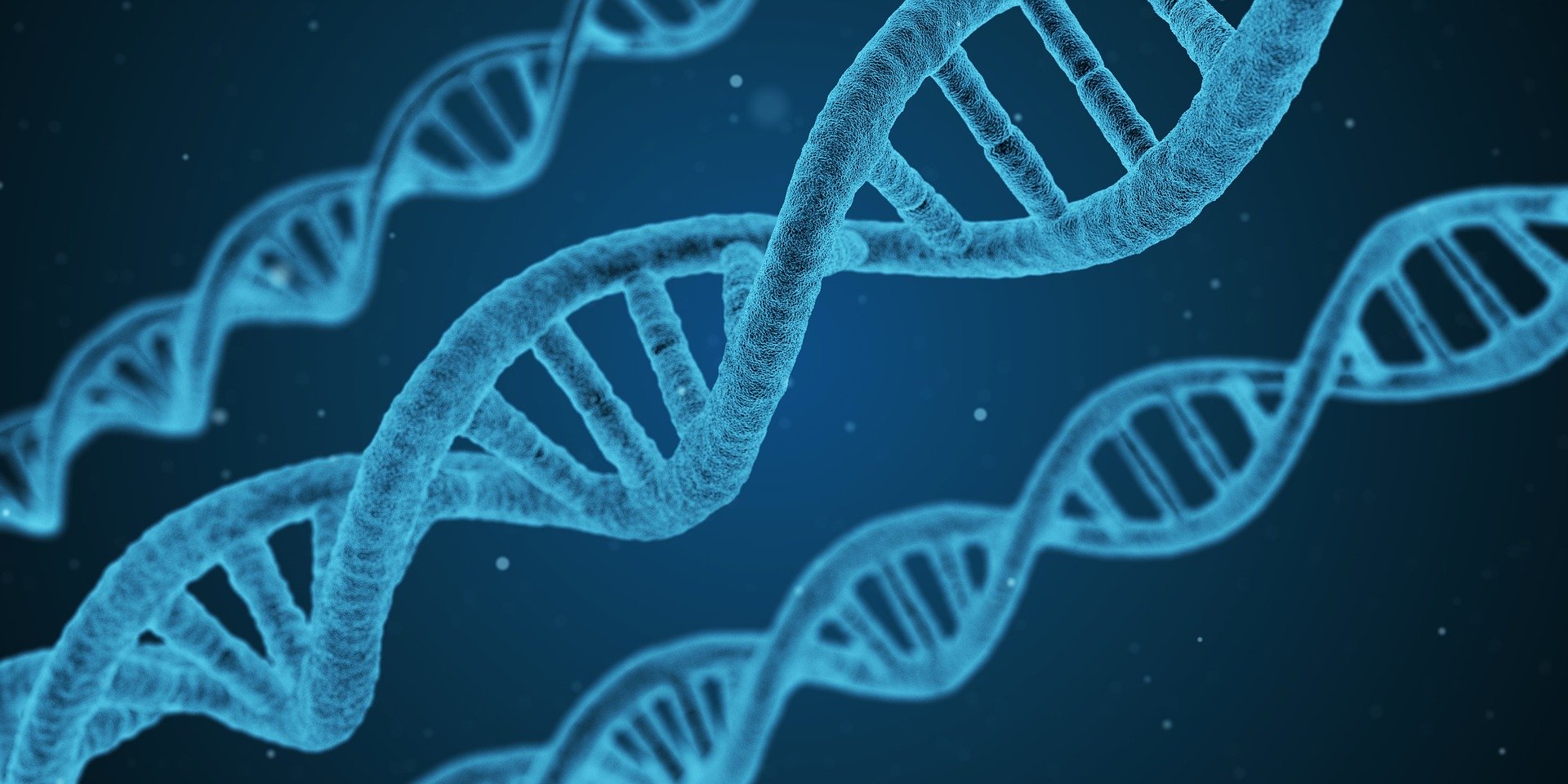 不同族群擁有相異的突變基因，因此部分科學家認為需要正視「人種」的因素。（圖／Pixabay）