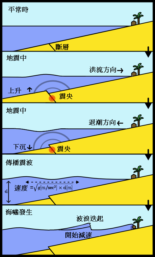海嘯形成的過程（圖／Luckygod，wikipedia）