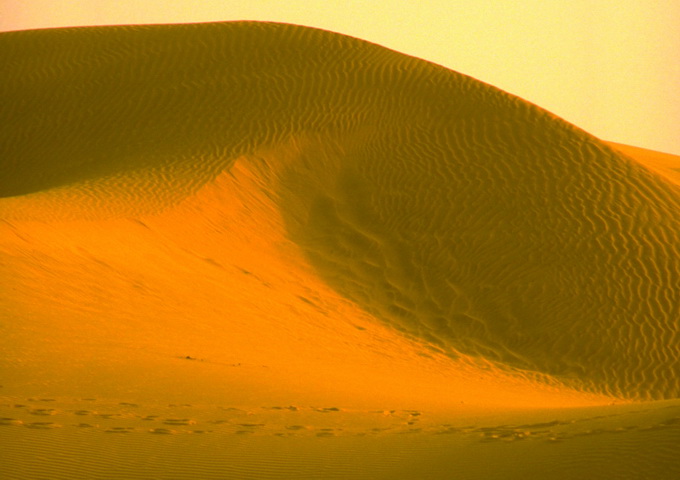 撒哈拉沙漠提供了大量的含鐵沙粒到北大西洋（圖／李男）