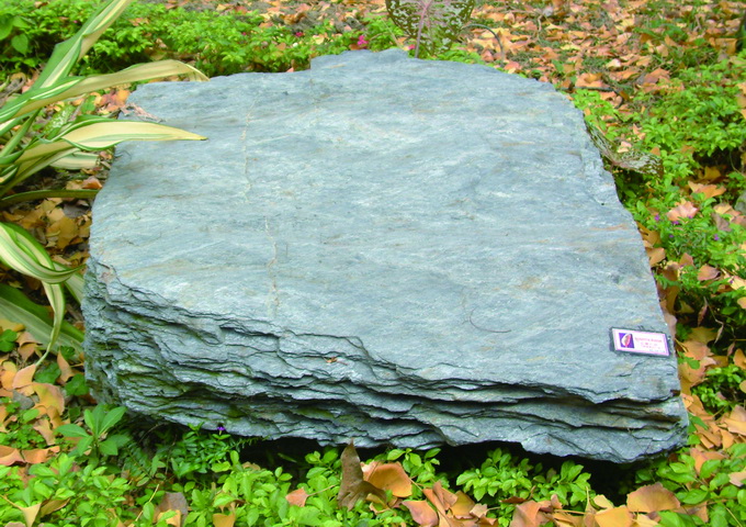 臺灣中央山脈變質岩帶的石墨片岩