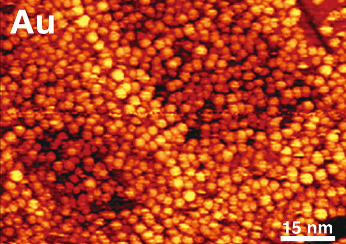 氧化鋁薄膜上金奈米粒子的掃描探針顯微術影像。