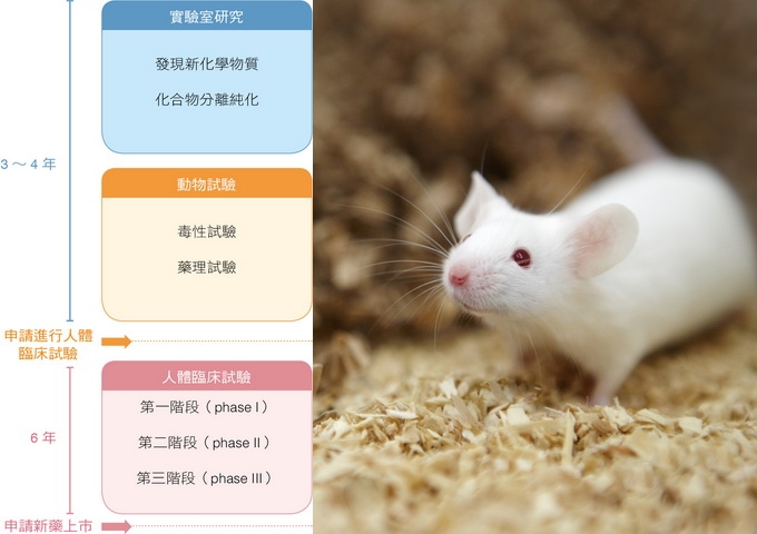 動物試驗對於藥物研發具有不可抹滅的價值（圖片來源：Novartis AG）