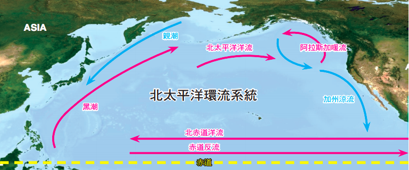 北半球太平洋的環流系統（圖／海洋科技博物館地球展示系統）。