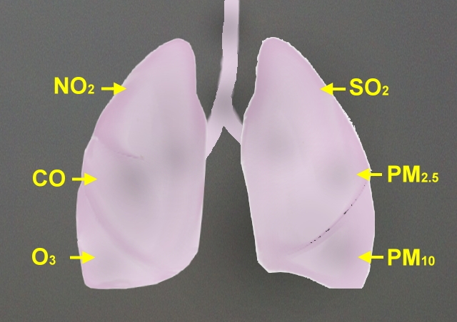 空氣中的各種汙染物質，如：二氧化氮、二氧化硫、臭氧、一氧化碳及懸浮微粒等，會對人體的器官，尤其是肺，造成傷害。(圖片來源：撰稿團隊)