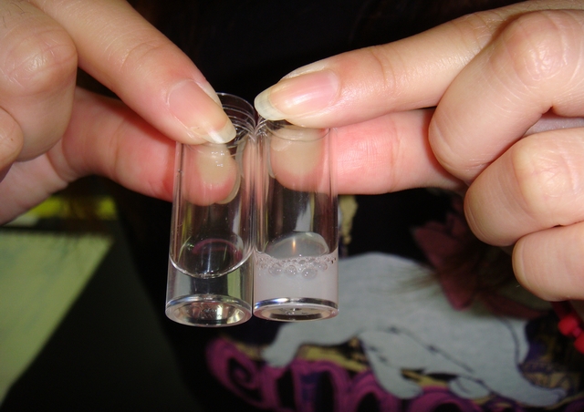 左邊試管內是清澈的人工合成生物液膜，右邊是加入檢測物質後的混濁狀況。