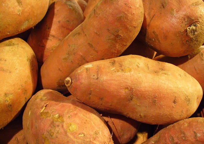 國際馬鈴薯中心針對甘薯的研究顯示，甘薯都擁有來自農桿菌的DNA。