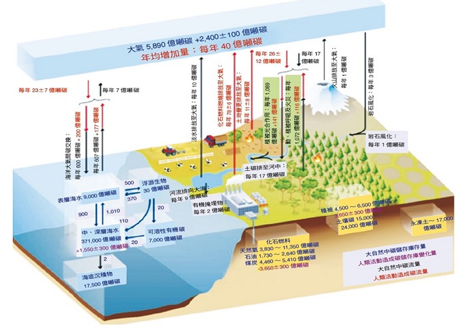 人類活動下的碳循環（圖片來源：改編自IPCC《第5次氣候評估報告》）