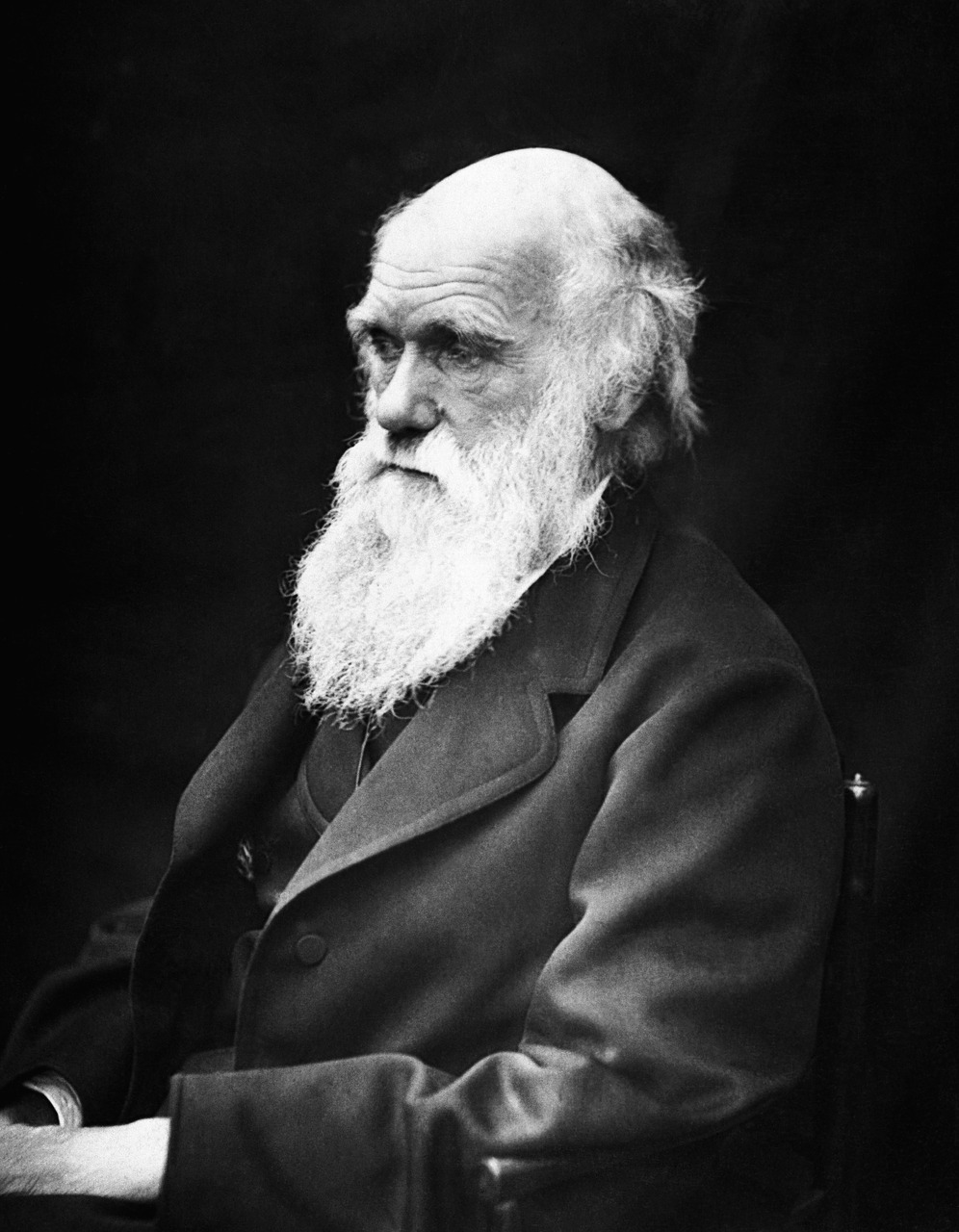 達爾文的照片。達爾文提出演化論，主張「物競天擇，適者生存」，其理論引發各界不同脈絡的解讀和應用。（圖 / Pixabay）