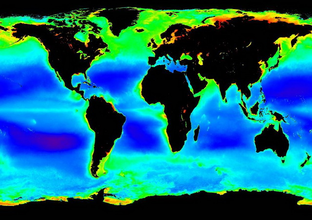 圖一、1997-2010年海水葉綠素甲濃度分布，圖中黑色表陸地或海冰，暖色系表濃度高、冷色系表濃度低。東南太平洋紫色處為全球葉綠素甲濃度最低的海域。（圖／撰稿團隊）