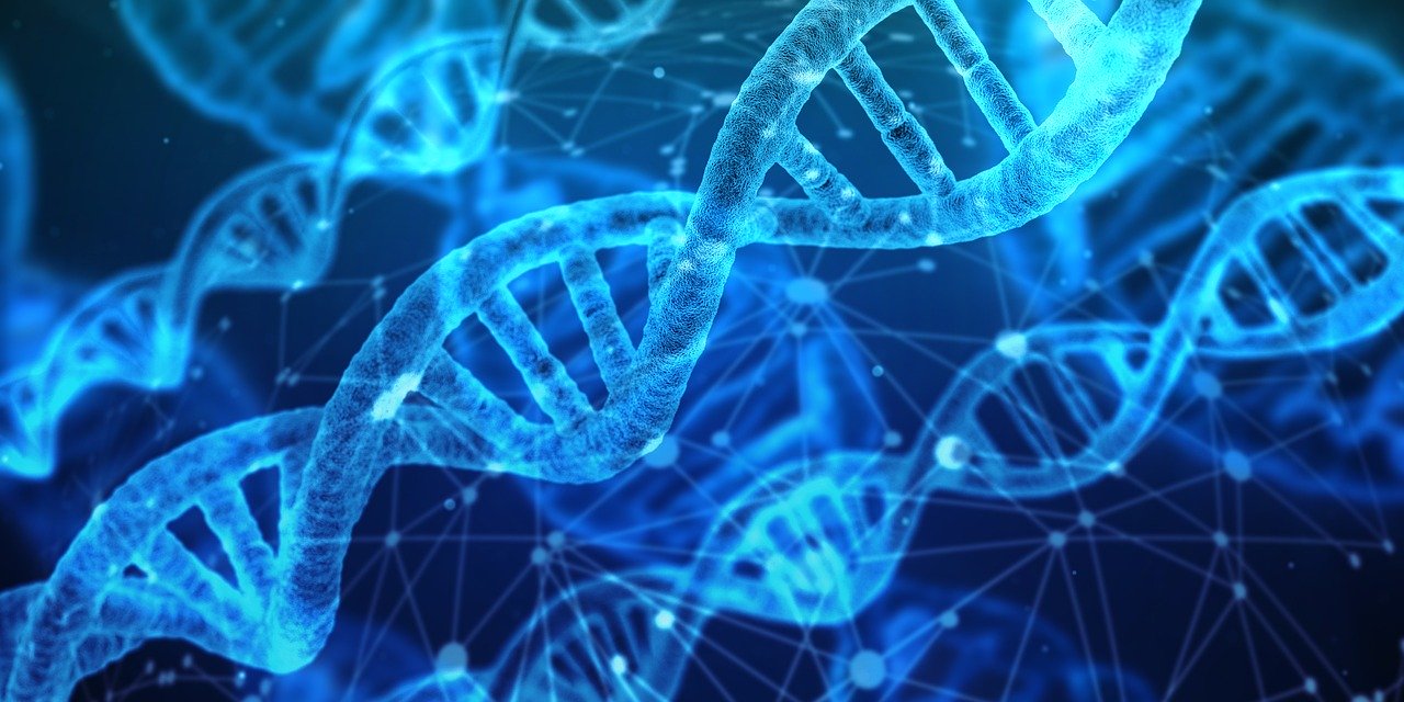 來自表觀遺傳學的研究發現，外在環境也會影響複雜的基因管控與表現。（圖／Pixabay）