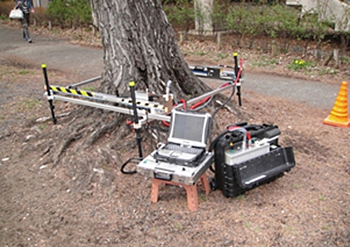 應用精密儀器檢查樹幹內部腐朽情況。