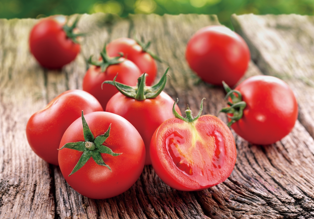 番茄是世界重要果菜之一。（圖／種子發）