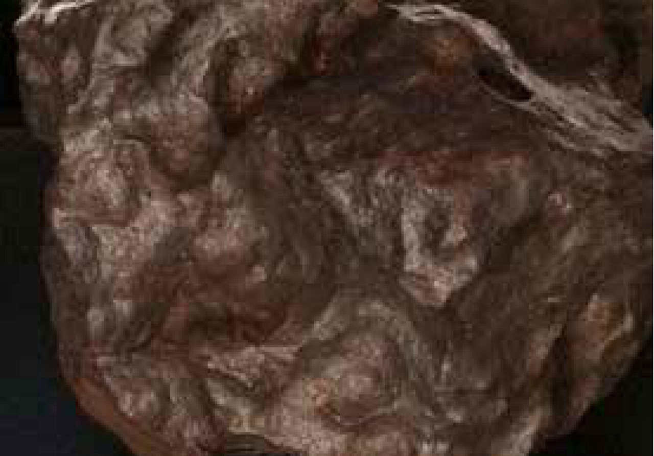 戴布洛峽谷鐵隕石（圖／休士頓自然歷史博物館）