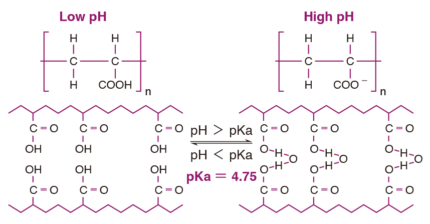 PAA中親水性的－COOH基，在pKa＞4.75時會解離成COO－，吸水後水分子的氫與COO－產生分子間氫鍵，水分子因而能保存在網狀結構的網孔中不流失。