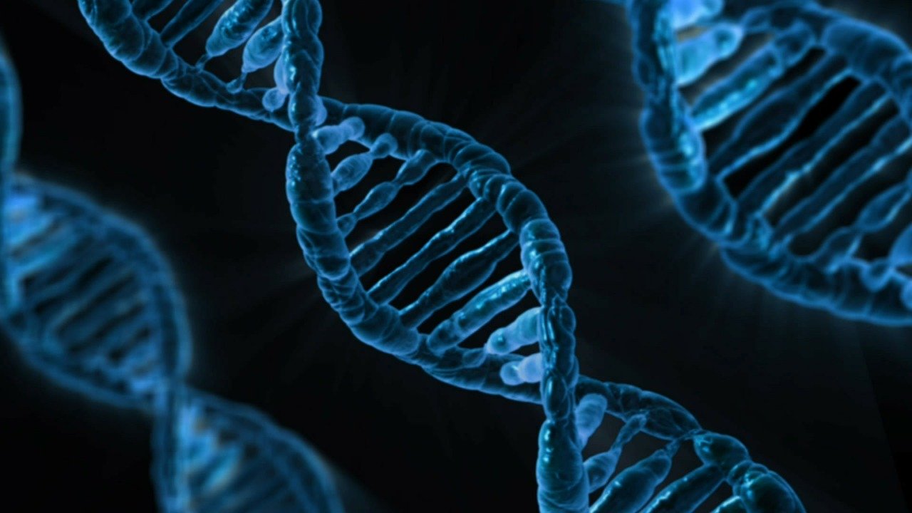 構樹的DNA突變特徵，指出了南島語族的家鄉所在（圖／Pixabay）