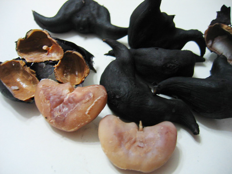 菱角剝殼後，淺色可食用的部分含有高澱粉質（HC KUO, flickr）