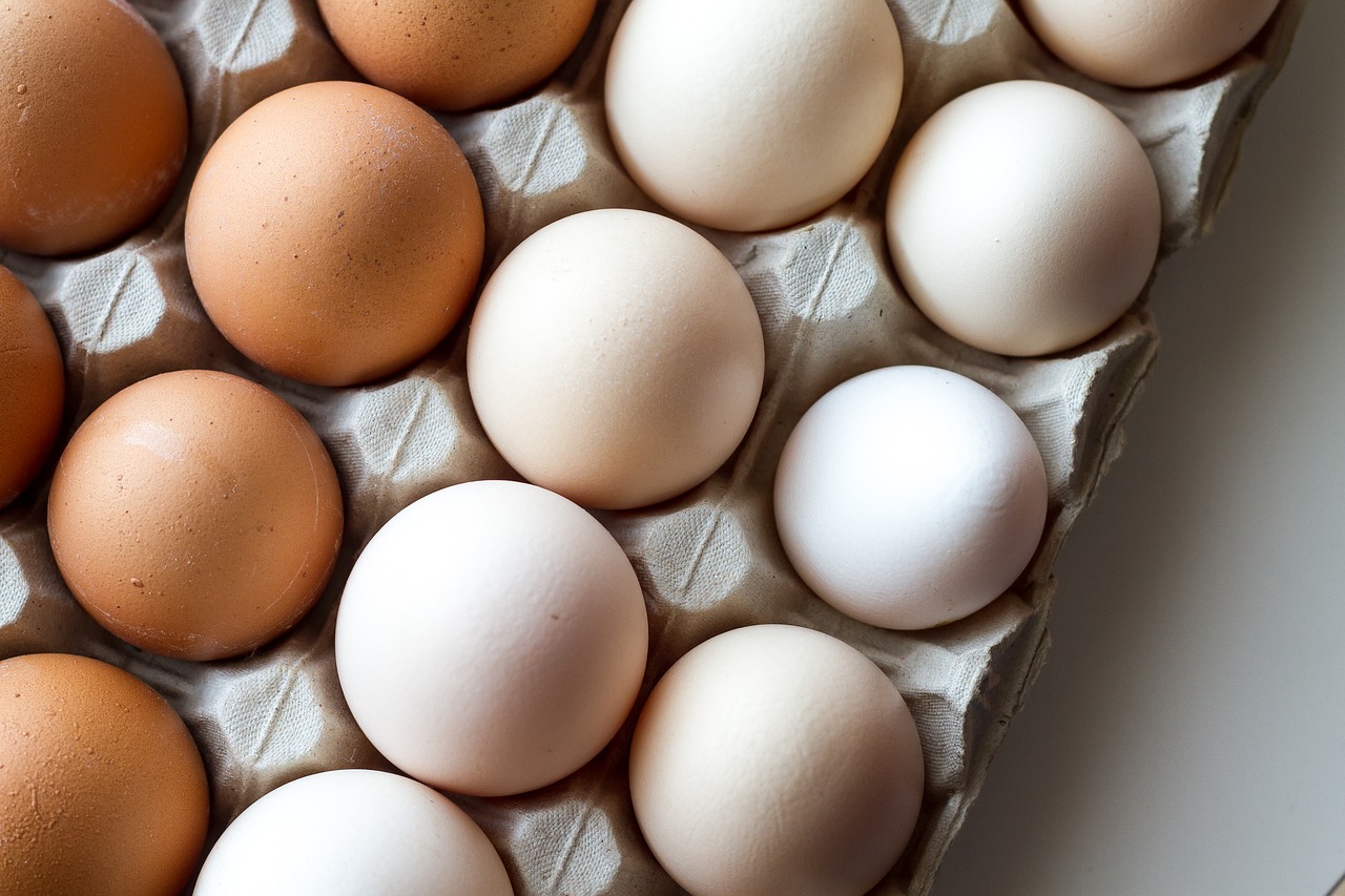雞蛋可說是在世界各地所有料理中使用最廣泛的食材之一（圖片來源：Pixabay）