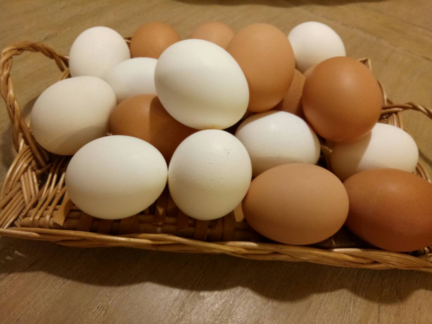 世界各地的料理中使用最廣泛的其中一項食材─雞蛋，蛋殼的顏色是在形成蛋時，因輸卵管的色素沉澱所造成，會隨蛋雞品種而有所不同。(圖片提供：胡斐貞)
