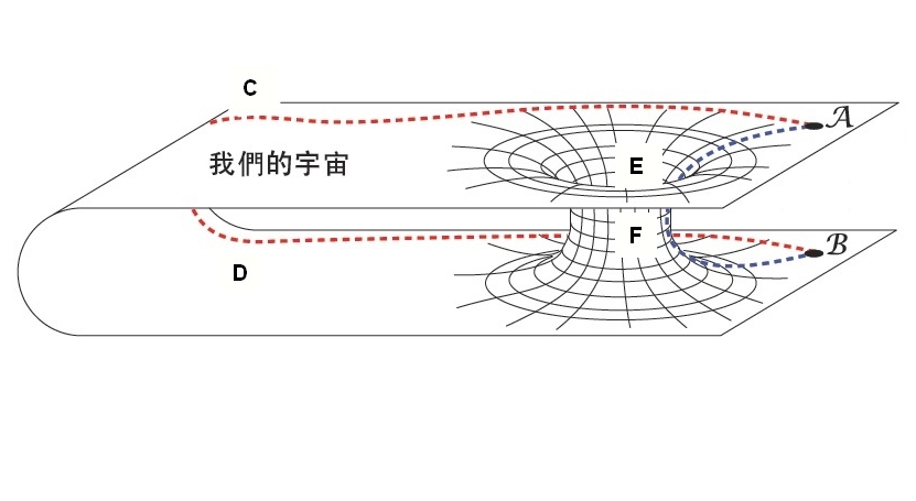 蟲洞：原本很遠的A、B兩地需以ACDB連接，但若有蟲洞的存在，結果經由AEFB這條捷徑便可相連。( 圖片來源：路德維希．弗萊姆（Ludwig Flamm）
