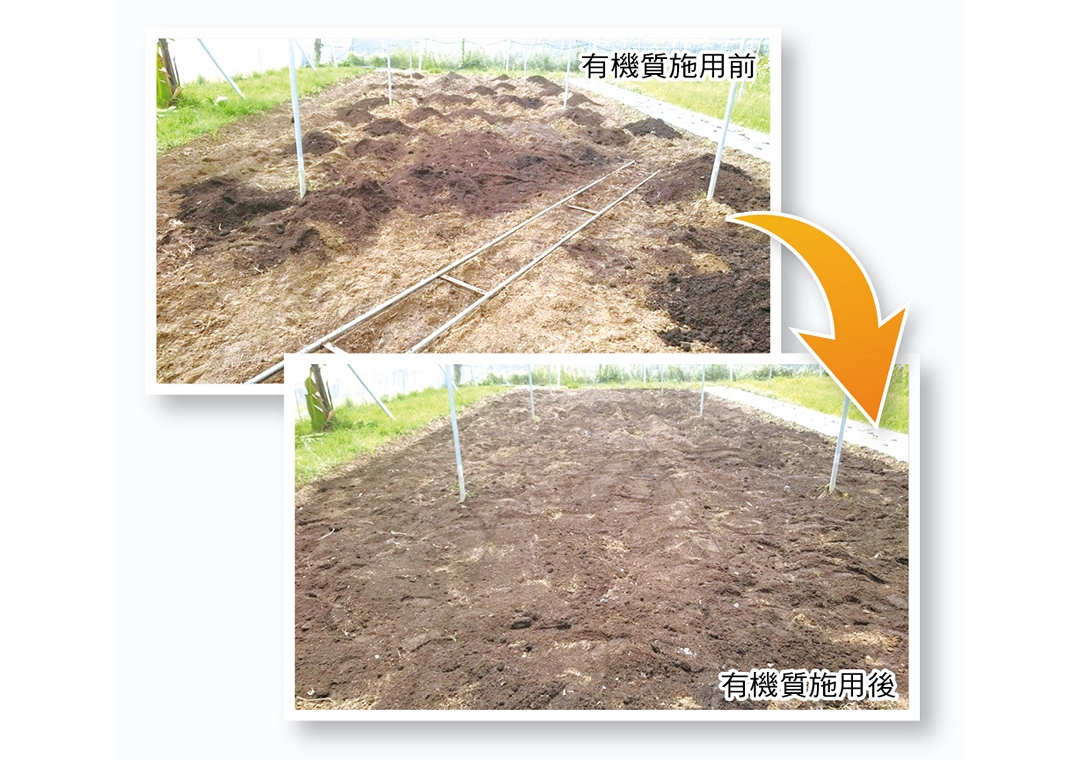 施用大量有機質且均勻撒在土壤表面，並均勻和土壤混合以達到改良的效果。