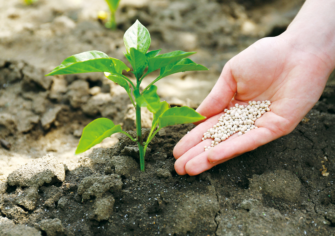 複合肥料顆粒主要分為黏合造粒與凝聚造粒兩種結構（圖片來源：肥料手冊）