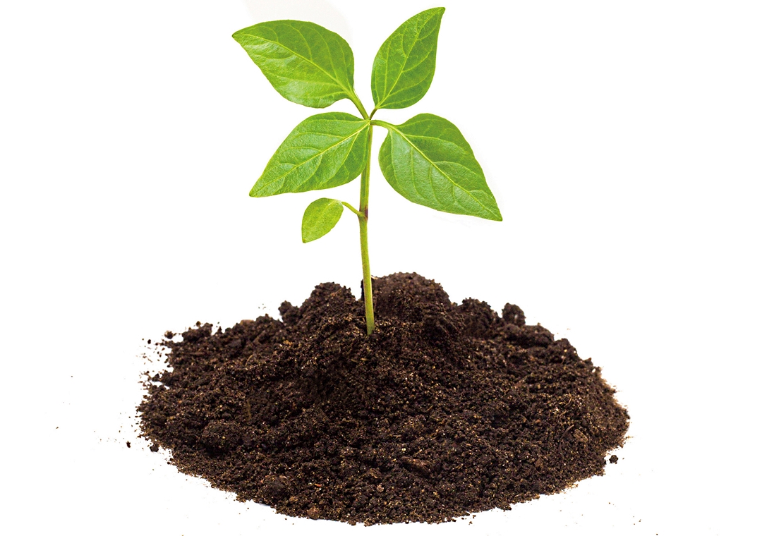 友善環境的施肥方式第一步就是「儘量理解我們腳下的耕作土壤特性」（種子發提供）