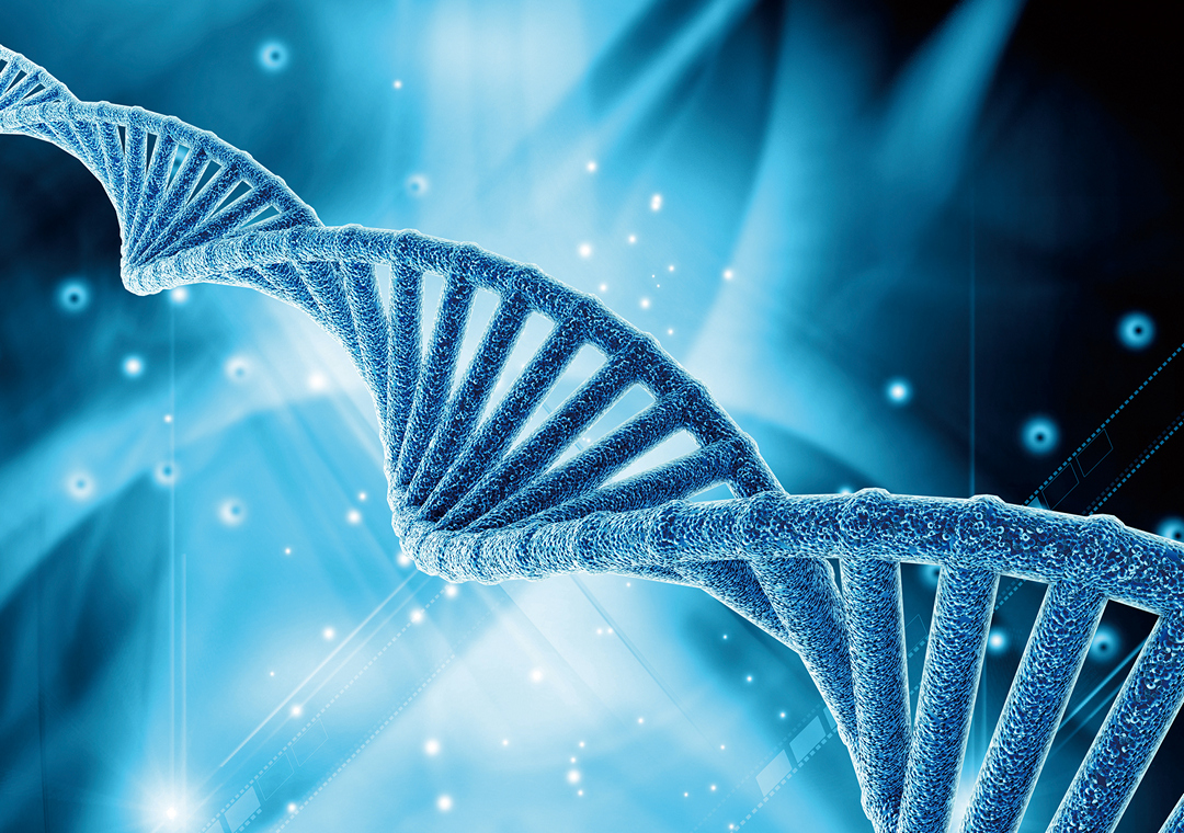 當DNA累積過多塗改造成的錯誤而沒有立即更正或修復，就容易形成疾病與癌症。（圖片來源：種子發）