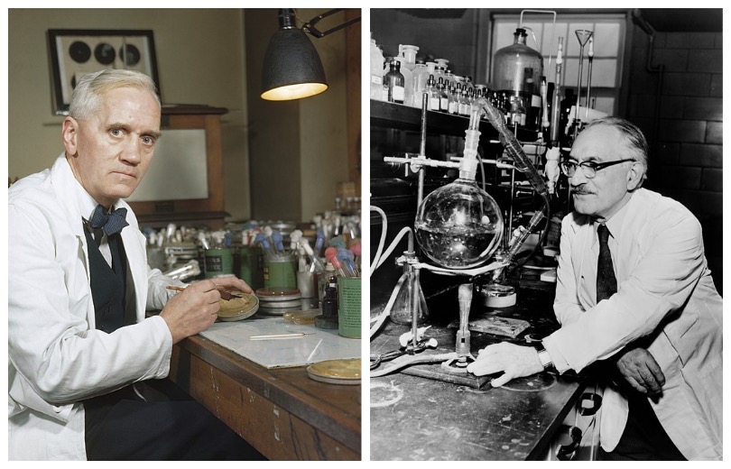 （左）弗萊明發現青黴素與（右）賽爾曼發現鏈黴素，開啟了抗生素領域的黃金時代。（圖／wikipedia）