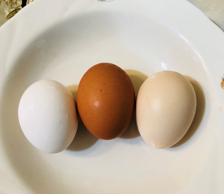 不少民眾以為顏色偏的蛋就是土雞蛋，事實上，這三顆都不是，因此不能從顏色深淺分辨土雞蛋。