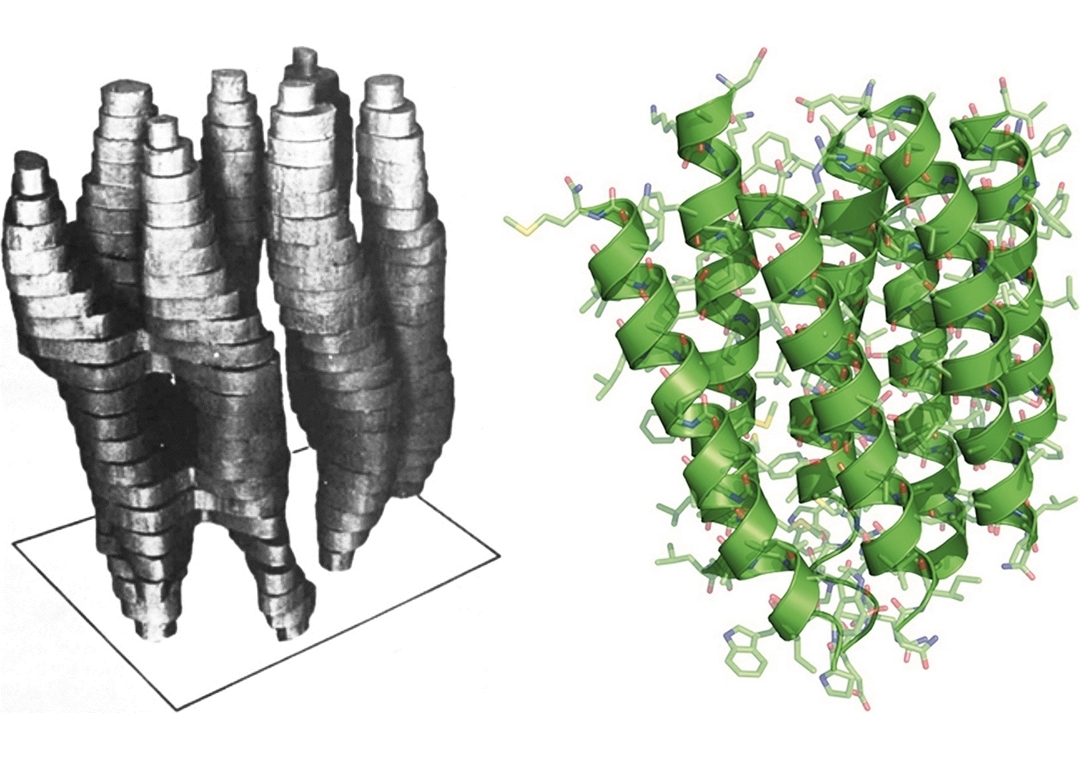 韓得森於1975年發表第一個菌紫質的模型（左，圖片來源：Nature, 257, 28-32, 1975），韓得森於1990年發表解析度已達原子層級的菌紫質結構（右，圖片來源：2017年諾貝爾化學獎新聞稿）