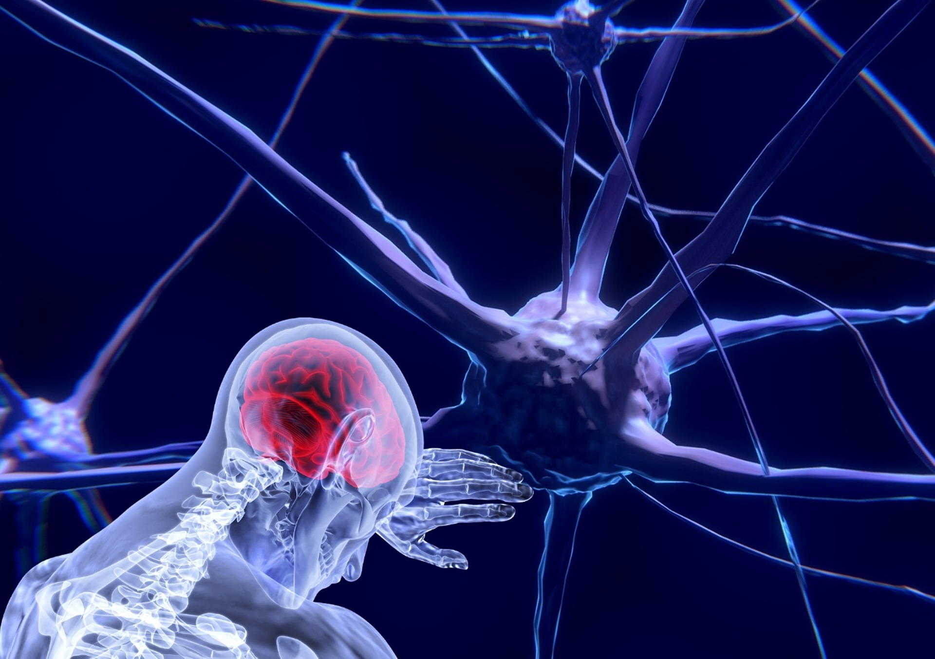 以神經科學出發的大腦老化研究顯示，頻繁使用的神經細胞將會形成神經迴路，並且擁有更高的反應效率。（圖／Pixabay）