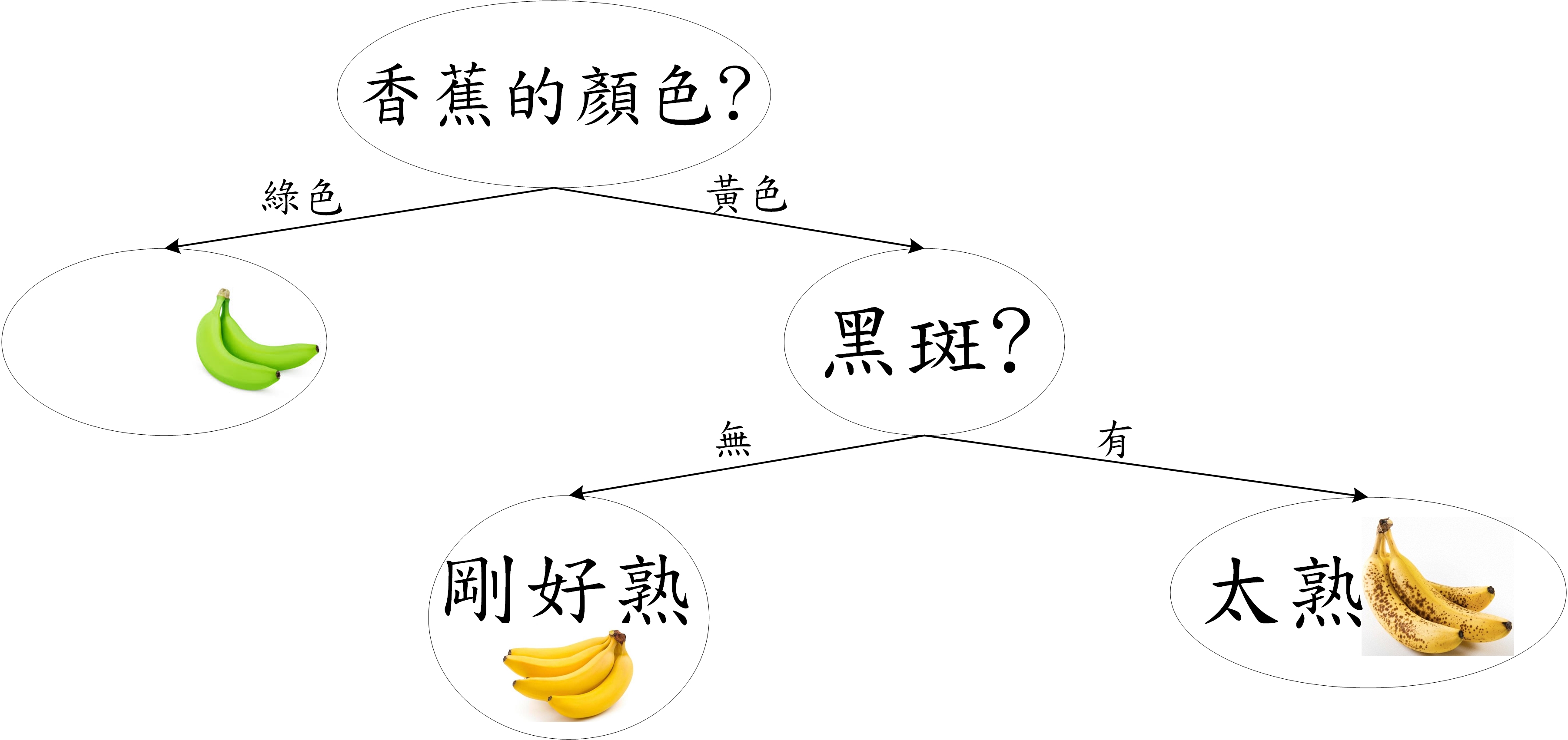 利用一個簡單的決策樹可以馬上判別香蕉的熟度（圖片來源：簡伯丞）