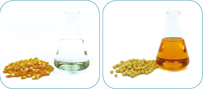 玉米製造的生質酒精（左）與黃豆製造的生質柴油（右）