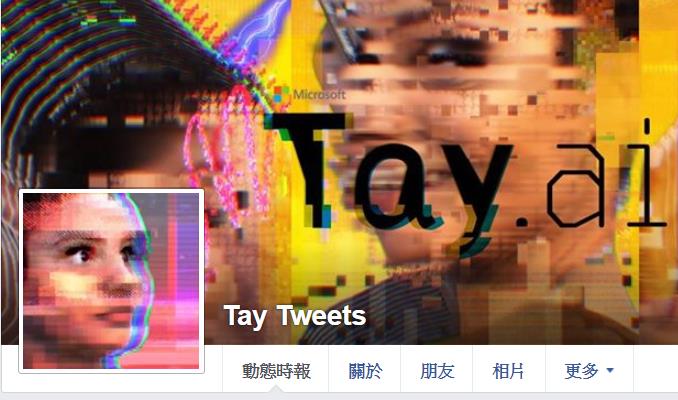 微軟Tay Tweets網站。（圖／ttps://www.facebook.com/tay.tweets.9）
