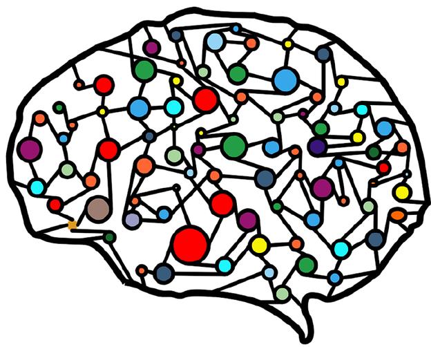 人類腦部神經網路示意圖。（圖／Pixabay）