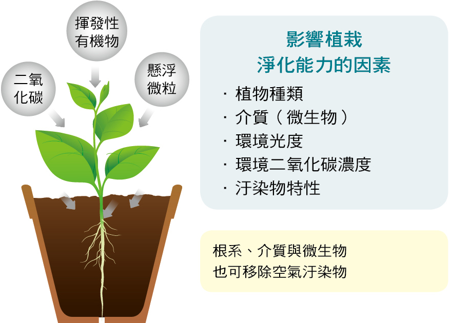 植株、根系與土壤微生物的盆栽整體是一個調節性的生物系統，可有效且持續吸收淨化空氣中的汙染物質。