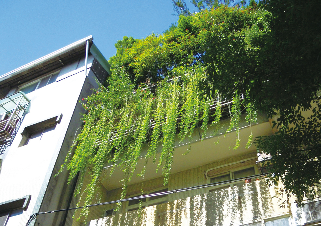 台北市公寓垂直綠化案例。